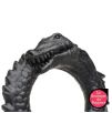 Cockring Black Caiman Noir Cockring Black Caiman Noir