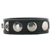 Cockring 5 pressions cuir Cockring 5 pressions cuir