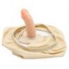 Slip avec plug 12 x 3.8cm Penis Panties Chair pas cher