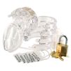 Cage de chasteté MINI LOCKY 6 x 3.2 cm Transparente Cage de chasteté MINI LOCKY 6 x 3.2 cm Transparente