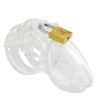 Cage de chasteté MINI LOCKY 6 x 3.2 cm Transparente Cage de chasteté MINI LOCKY 6 x 3.2 cm Transparente