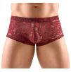 Boxer Flino Bordeaux Boxer Flino Bordeaux