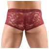 Boxer Flino Bordeaux Boxer Flino Bordeaux