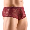 Boxer Flino Bordeaux Boxer Flino Bordeaux