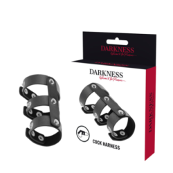 DARKNESS - DOUBLE ANNEAU DE PÉNIS ET TESTICULES EN CUIR RÉGLABLE pas cher