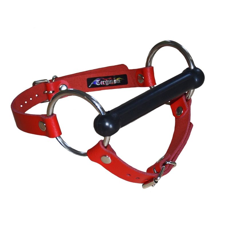 Mors BDSM en cuir premium avec gag en caoutchouc Mors BDSM en cuir premium avec gag en caoutchouc
