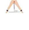 Barre de retenue Squat Anal Impaler Master Series