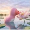 Stimulateur avec langue vibrante Quacky