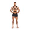 Harnais de bondage Rocco - Noir Harnais de bondage Rocco - Noir