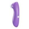 Stimulateur Clitoridien à Pulsations d'Air Violet Romance Passion