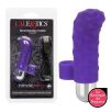 Stimulateur Clitoridien Rechargeable Teaser Stimulateur Clitoridien Rechargeable Teaser