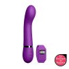 Vibromasseur Rechargeable Télécommandé Violet Kegel G Vibromasseur Rechargeable Télécommandé Violet Kegel G