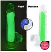 Gode phosphorescent Color Glow 15 x 4.5cm Vert Gode phosphorescent Color Glow 15 x 4.5cm Vert